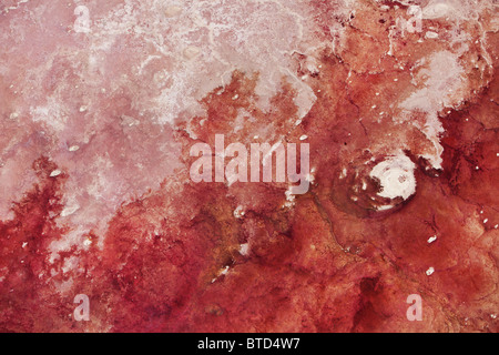 Vista aerea del Lago Magadi. Le saline sono talvolta rosso a causa della proliferazione di halobacteria. La Rift Valley Kenya Foto Stock