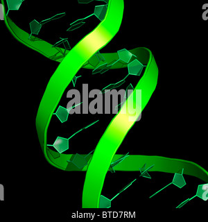 Molecola del DNA Foto Stock
