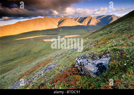 Rock e tundra alpina nei pressi del fiume Alatna sorgenti nei cancelli dell'Artico National Park & Preserve, Arctic Alaska, caduta Foto Stock