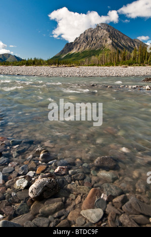 Vista della forcella del nord fiume Koyukuk con frigida dirupi in background, cancelli dell'Artico National Park, Alaska Foto Stock