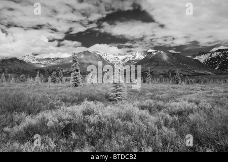 Vista a raggi infrarossi di sparsi di abeti e l'Alaska Range vicino al fiume selvaggio nel Parco Nazionale e Riserva di Denali, Alaska Foto Stock