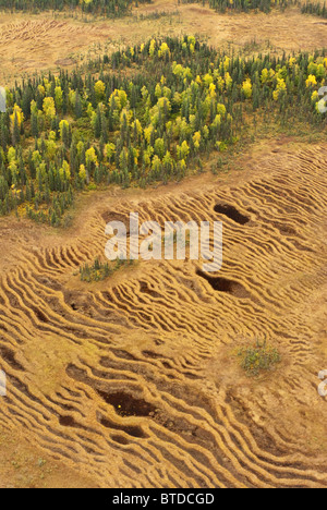 Vista aerea delle zone umide attraverso Cook Inlet da Anchorage vicino al Tordrillo Mountains, centromeridionale Alaska, caduta Foto Stock