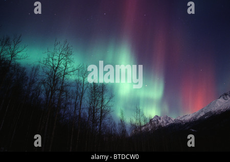 Multi colore luci del nord (Aurora boreale) riempire il cielo di notte fuori il vecchio Glen autostrada vicino Palmer, Alaska, inverno Foto Stock
