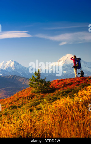 Una donna si ferma per visualizzare Mt. McKinley mentre backpacking in Peters Hills, Stato di Denali Park, centromeridionale Alaska Foto Stock