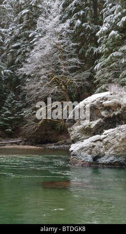 Brina e luce neve lungo la forcella del nord del fiume Nooksak durante il periodo invernale in Mount Baker National Forest, Washington Foto Stock