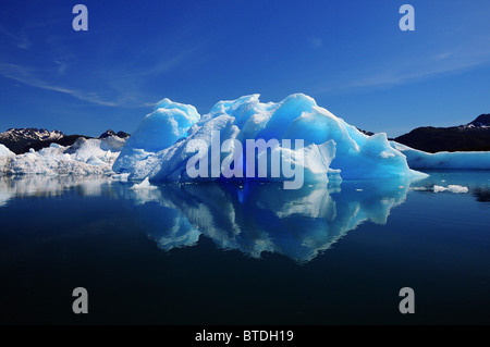 Blu iceberg dal ghiacciaio Columbia riflette in Prince William Sound, Alaska Foto Stock