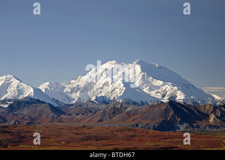 Vista del Mt.McKinley in un giorno chiaro da Eielson Visitor Center, il Parco Nazionale di Denali, Alaska, Autunno Foto Stock