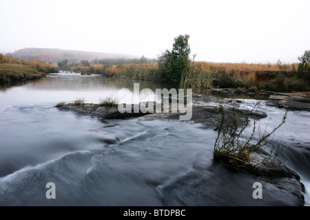 Un highveld flusso che scorre rapidamente su rocce Foto Stock