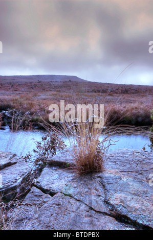 Frosty mattina sulla highveld smerigliato con erba e un flusso di highveld Foto Stock