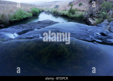 Un flusso di Highveld scorre su rocce Foto Stock