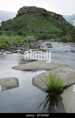 Ruscello di montagna che scorre sulle rocce Foto Stock