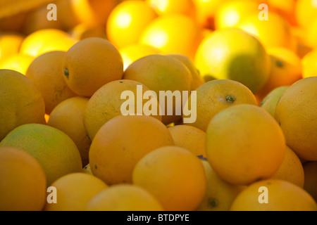 Una chiusura di arance allentati Foto Stock