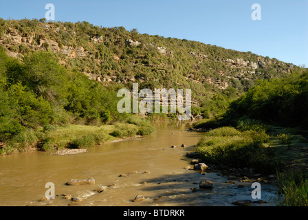 Vista panoramica del grande fiume di pesce Foto Stock