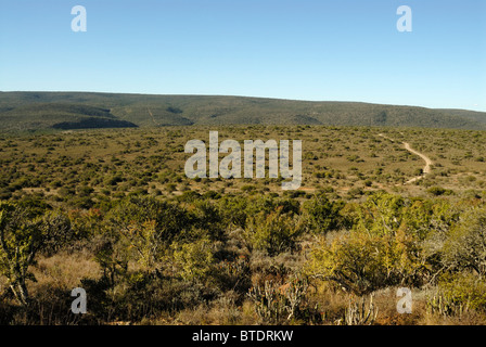 Vista panoramica su Kwandwe Game Reserve Foto Stock