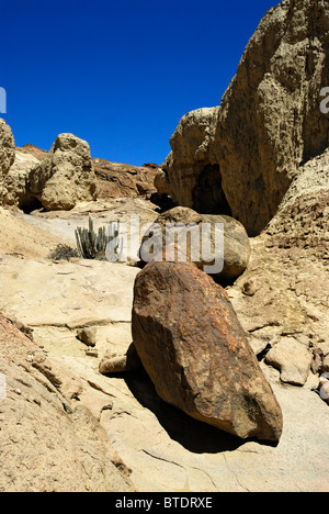 Rocce di grandi dimensioni, Euphorbia virosa e caratteristiche di erosione nel fiume Hoarusib Foto Stock