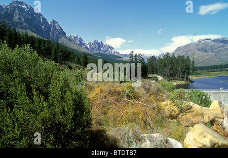 Vista panoramica delle montagne e della vegetazione nella riserva Jonkershoek Foto Stock