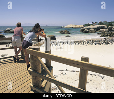 I visitatori di fotografare i pinguini Jackass dalla piattaforma di visualizzazione al massi Parco costiero. Foto Stock