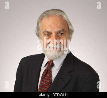 Ritratto di barba e capelli grigi imprenditore senior in tuta e cravatta, studio shot, bianco, grigio, 16 Ottobre 2010 Foto Stock