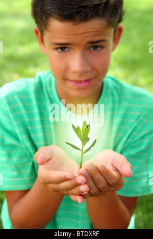 Impianto germoglio bagliore crescente ligth sul ragazzo adolescente mani all'aperto Foto Stock