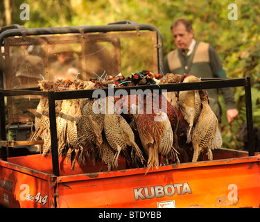 Gamecart su un tiro station wagon Foto Stock