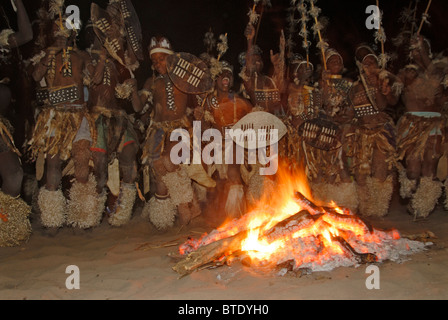 Zulu warriors ballando intorno al fuoco Foto Stock