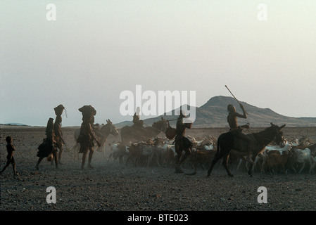 Gli abitanti di un villaggio Himba imbrancandosi capre su una pianura sabbiosa Foto Stock