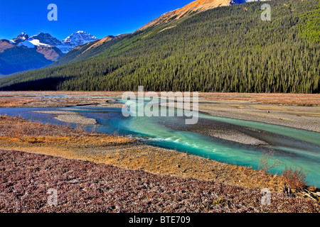 Athabasca River, il Parco Nazionale di Jasper, Alberta, Canada Foto Stock