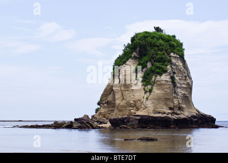 Piccola isola vicino alla spiaggia Tsukigahama su Iriomote, Yaeyama, Okinawa, in Giappone Foto Stock