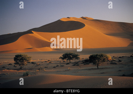 Il sorgere del sole su i principali dune nel deserto del Namib Foto Stock