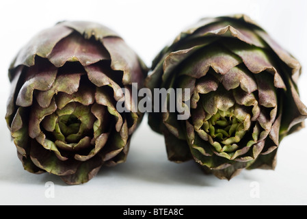 Carciofi viola Foto Stock