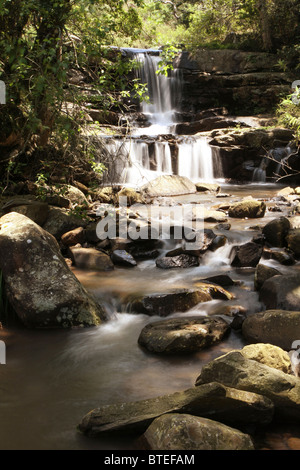 Una cascata che scorre verso il basso le rocce in un flusso Foto Stock