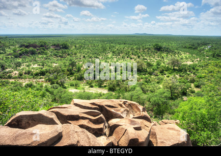 Vista dal punto di vista Bateleur oltre il lowveld nel Parco Nazionale di Kruger Foto Stock