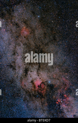 America del nord Nebula tra le stelle e altri nebula Foto Stock