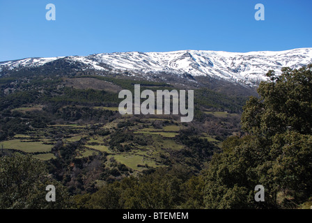 View over countryside, Trevelez, Las Alpujarras, Granada Province, Andalucia, Spain, Western Europe. Foto Stock