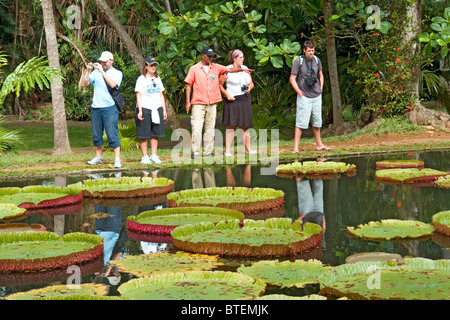 Vista dei turisti il famoso ninfee giganti nel SSR Giardini Botanici, Pamplemouses, Mauritius Foto Stock