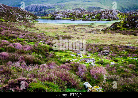 Innominate Tarn sul vertice di Haystacks nel distretto del lago, Cumbria, England, Regno Unito Foto Stock