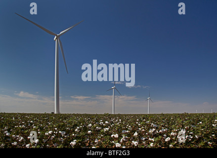 Stanton, Texas - turbine eoliche in un campo di cotone in Texas occidentale. Foto Stock