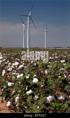 Stanton, Texas - turbine eoliche in un campo di cotone in Texas occidentale. Foto Stock