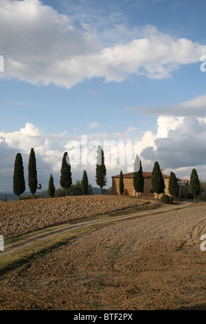 Cipressi che circondano una casa colonica toscana vicino a Pienza Foto Stock