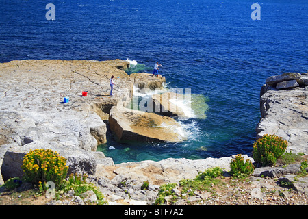 Due persone della pesca in mare da uno degli aggetti vicino a Portland Bill lighthouse Dorset England Regno Unito Foto Stock