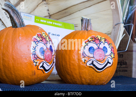 Zucche di Halloween per la vendita in CT STATI UNITI D'AMERICA Foto Stock