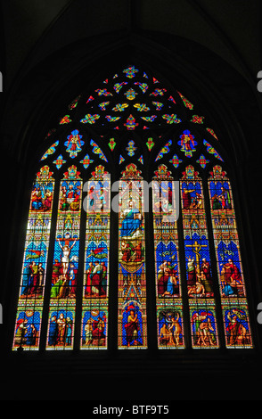 Vetrata nel transetto sud della Cattedrale della Santissima Trinità, Chichester. Foto Stock