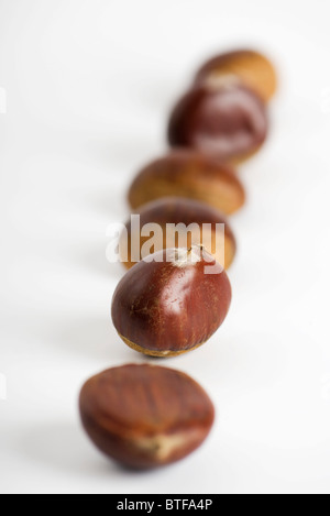 Castagne Foto Stock