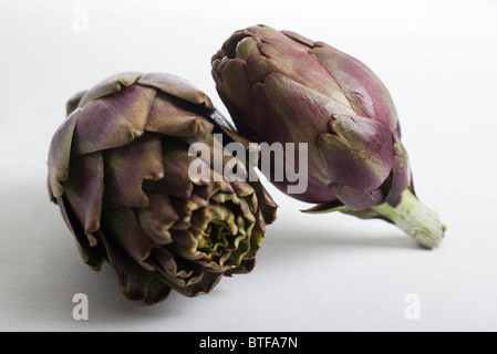 Carciofi viola Foto Stock