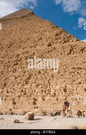 Il cammello e il gestore in piedi di fronte alla Piramide di Giza, Cairo, Egitto. Foto: © Simon Meaker Foto Stock