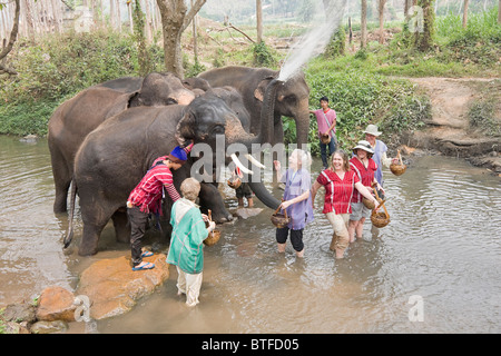 I turisti divertiti in creek mentre gli elefanti spruzzare acqua a loro a Patara Elephant Farm, un elefante operazione di salvataggio in Thailandia Foto Stock
