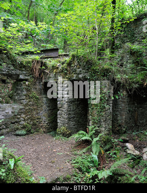 Gli edifici di vecchia costruzione a Fussells' opere inferiore, Mells, Somerset prodotti utensili in ferro da 1744 a 1895 Foto Stock