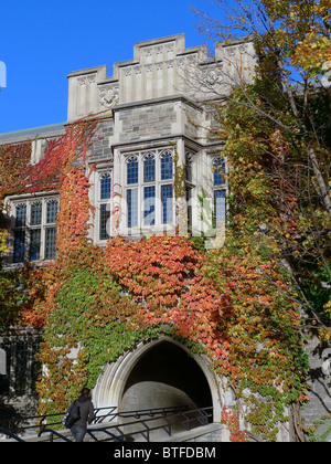 Hart House, Università di Toronto, con colorati Ivy in autunno Foto Stock