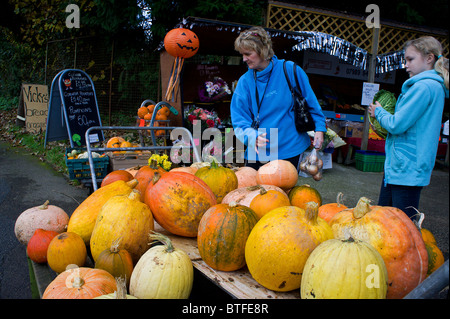 Madre e figlia comprare una zucca, England, Regno Unito Foto Stock