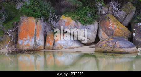 Il Lichen-coperta di rocce e di riflessione in acqua Foto Stock